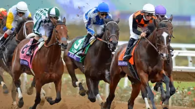 Learn how to start betting on horse racing