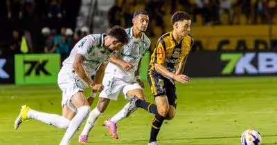 Palmeiras tem noite irreconhecível e é goleado pelo Novorizontino