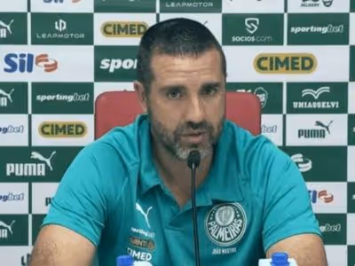 Auxiliar admite que Palmeiras poderia render mais: