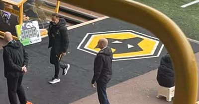 Vítor Pereira é expulso, e Wolverhampton segue sem vencer na Premier League