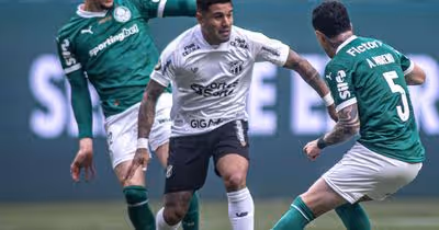 Tudo ou nada: Ceará joga permanência na elite diante do Palmeiras