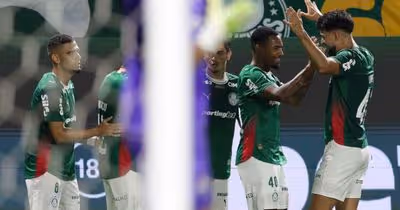 Palmeiras vence o Fluminense e tem noite marcada por polêmicas