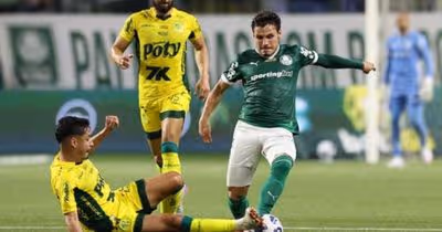 Palmeiras busca retomar força no Allianz Parque após sequência negativa