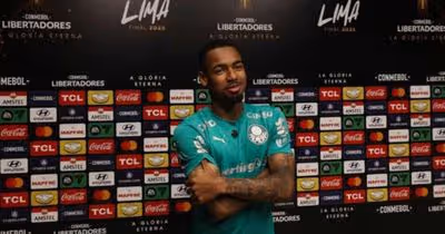 Allan destaca expectativa para a decisão da Libertadores pelo Palmeiras: