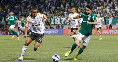 Palmeiras tenta confirmar favoritismo contra azarão Novorizontino por 27o título paulista