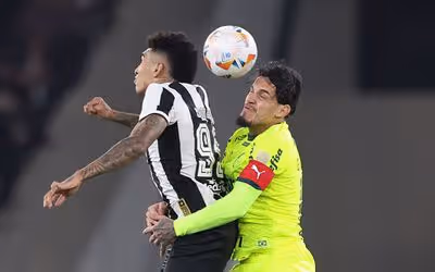 Botafogo x Palmeiras ganha capítulo mundial em rivalidade em alta