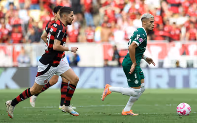 Flamengo e Palmeiras dividem maior marca de vitórias entre clubes da Série A em 2025
