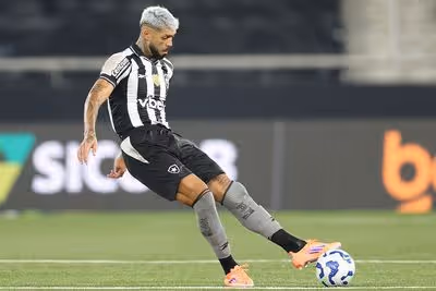 Barboza admite queda de rendimento apesar da classificação do Botafogo