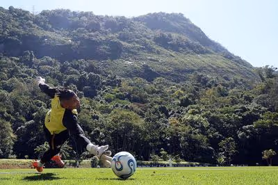 Novo ‘dono’ do Botafogo promete R$ 2 milhões se o time conseguir milagre na Sula