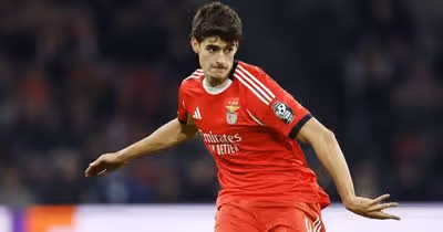 Benfica: esperança na recuperação de António Silva e dupla 'made in' Seixal à vista no Dragão