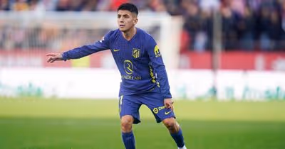 «Thiago Almada encaixa no perfil de jogador que o Benfica precisa»