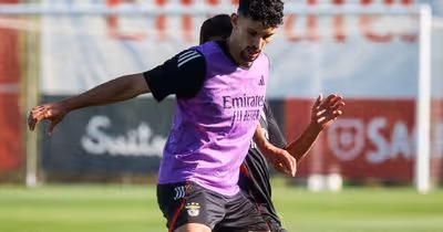 Benfica: Tomás Araújo pode ganhar palco onde melhor joga