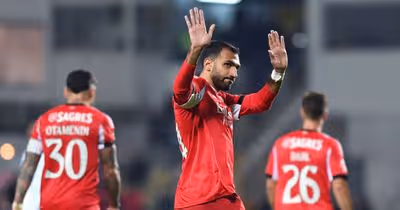 Goleadores estrangeiros do Benfica: Pavlidis maior que Darwin e à porta do 'top ten'
