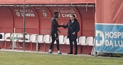 Lukebakio acelera sob olhar atento de Mário Branco: o último treino do Benfica antes da Juventus