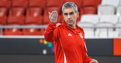 Benfica joga em Avanca continuidade na Taça de Portugal