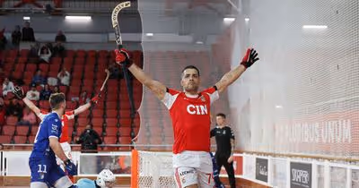 Imparável Benfica goleia Barcelos na Champions