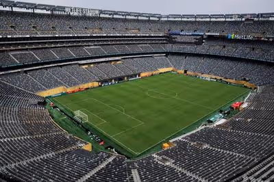FIFA to sell World Cup final grass pieces for thousands of dollars