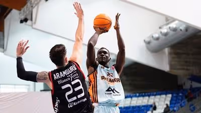 El Palmer Basket y el Fibwi Palma ya conocen su calendario en la Primera FEB