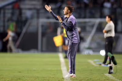 Botafogo joga xadrez em campo sob o comando de Martín Anselmi