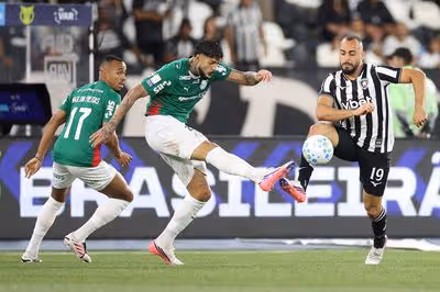 Botafogo empata com o Palmeiras; na volta ao Nilton Santos, torcida vaia Marlon Freitas e Barboza