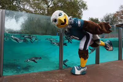 Eagles vs. Jaguars in London: Injury-hit Eagles face surging Jaguars at Tottenham Hotspur Stadium