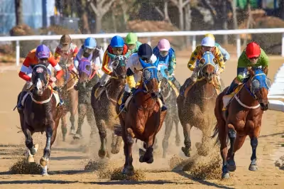 Saiba como começar a apostar em corrida de cavalo
